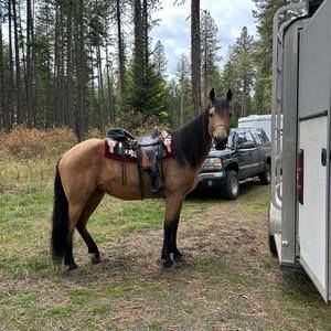 Meet your Posher, Sam